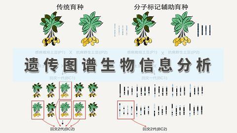 默认教学计划 