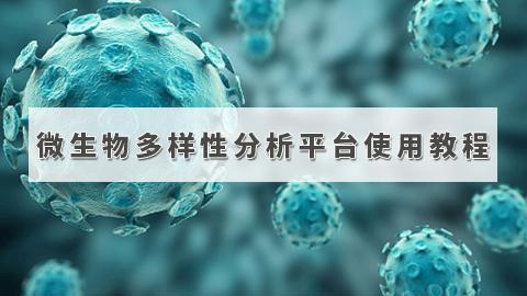 默认教学计划 
