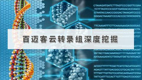 默认教学计划 