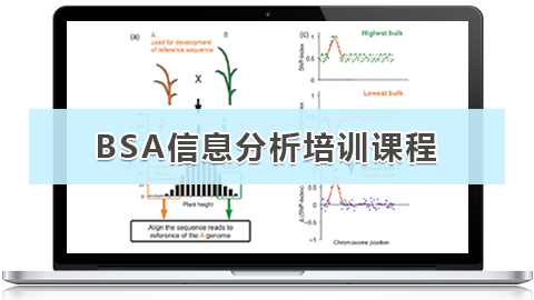 默认教学计划 