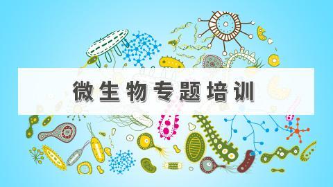 默认教学计划 