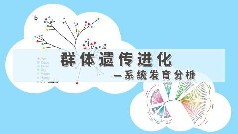 默认教学计划 