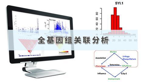 默认教学计划 