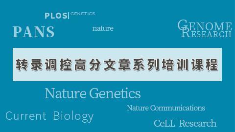 默认教学计划 