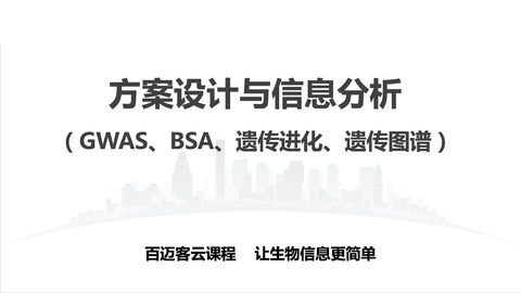 默认教学计划 