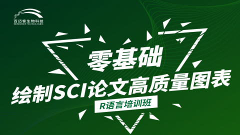 默认教学计划 