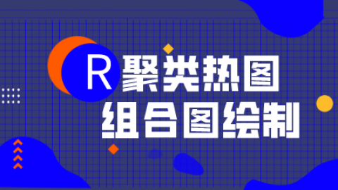 默认教学计划 
