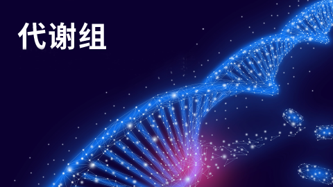 默认教学计划 