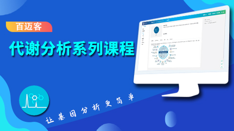默认教学计划 