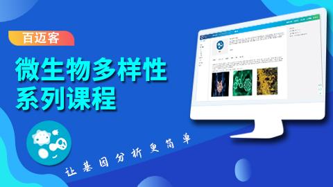 默认教学计划 