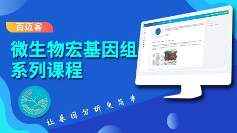 默认教学计划 
