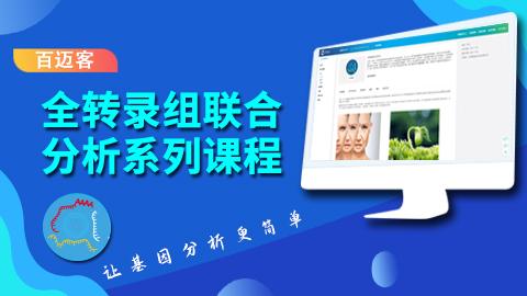 默认教学计划 