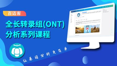 默认教学计划 