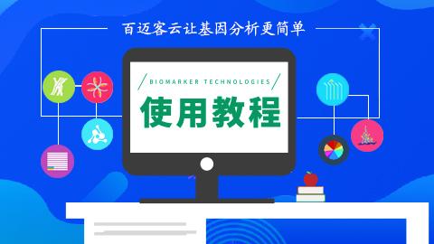 默认教学计划 