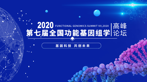 默认教学计划 
