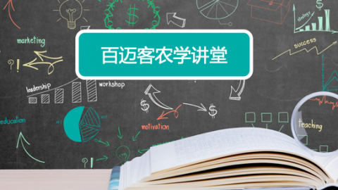 默认教学计划 