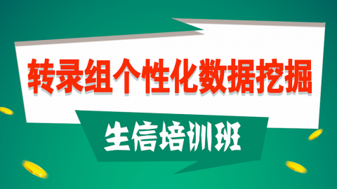 默认教学计划 