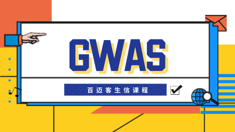 默认教学计划 