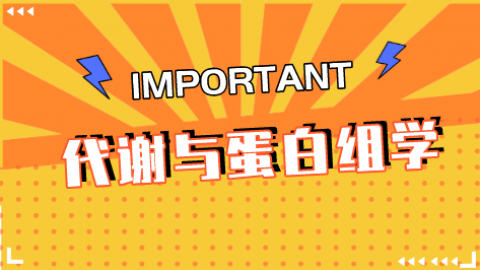 默认教学计划 