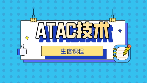 默认教学计划 