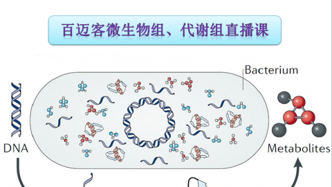 默认教学计划 