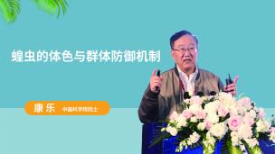 【院士专家讲坛】蝗虫的体色与群体防御