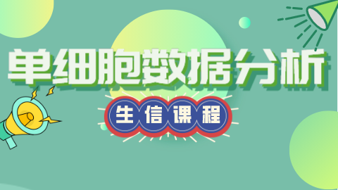 默认教学计划 