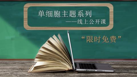 默认教学计划 