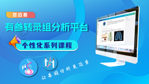 默认教学计划 